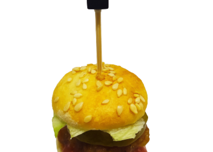 IMG_20210411_171943-removebg-preview